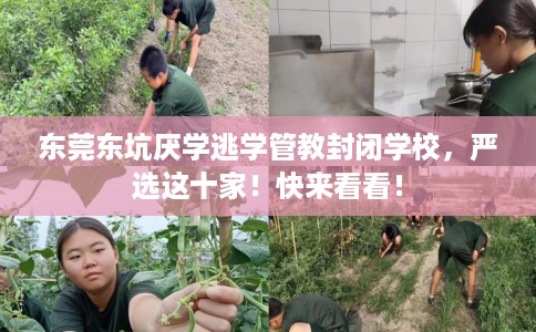 东莞东坑厌学逃学管教封闭学校，严选这十家！快来看看！