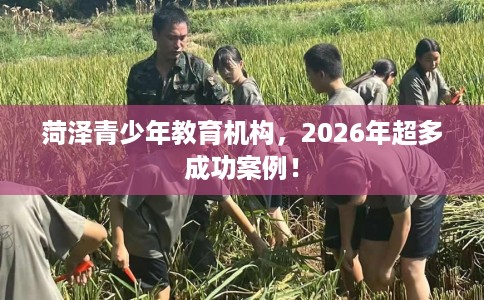 菏泽青少年教育机构，2026年超多成功案例！