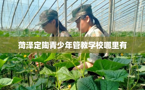 菏泽定陶青少年管教学校哪里有