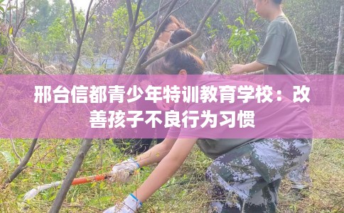 邢台信都青少年特训教育学校：改善孩子不良行为习惯