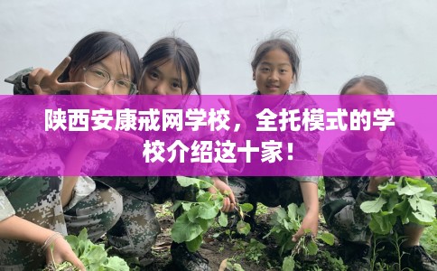陕西安康戒网学校，全托模式的学校介绍这十家！