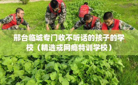 邢台临城专门收不听话的孩子的学校（精选戒网瘾特训学校）