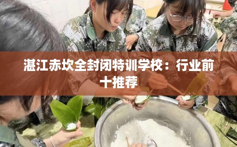 湛江赤坎全封闭特训学校：行业前十推荐