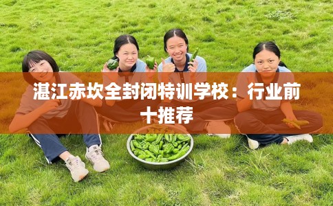 湛江赤坎全封闭特训学校：行业前十推荐
