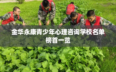 金华永康青少年心理咨询学校名单榜首一览