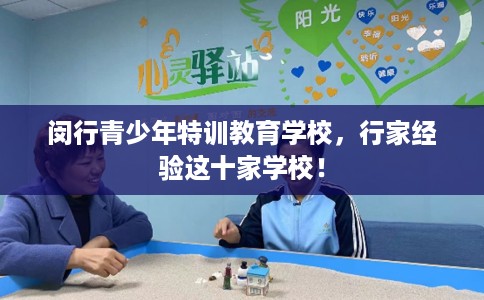 闵行青少年特训教育学校，行家经验这十家学校！