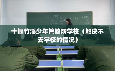 十堰竹溪少年管教所学校（解决不去学校的情况）
