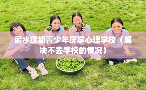 丽水莲都青少年厌学心理学校（解决不去学校的情况）