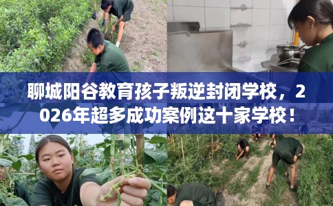聊城阳谷教育孩子叛逆封闭学校，2026年超多成功案例这十家学校！