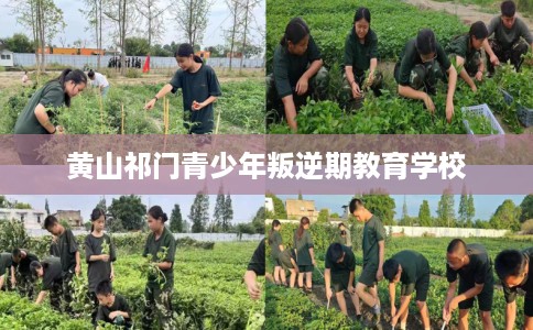 黄山祁门青少年叛逆期教育学校