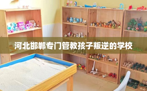 河北邯郸专门管教孩子叛逆的学校