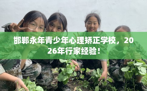 邯郸永年青少年心理矫正学校，2026年行家经验！