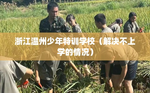 浙江温州少年特训学校（解决不上学的情况）
