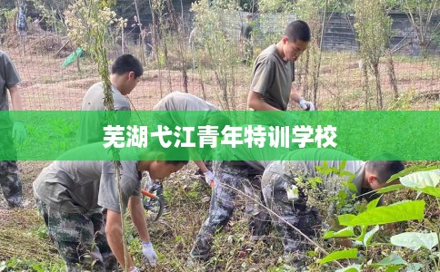 芜湖弋江青年特训学校