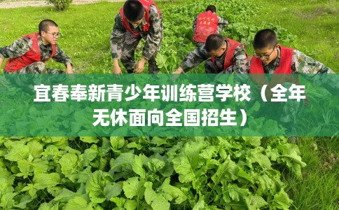 宜春奉新青少年训练营学校（全年无休面向全国招生）
