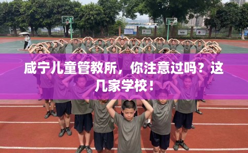 咸宁儿童管教所，你注意过吗？这几家学校！