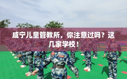 咸宁儿童管教所，你注意过吗？这几家学校！