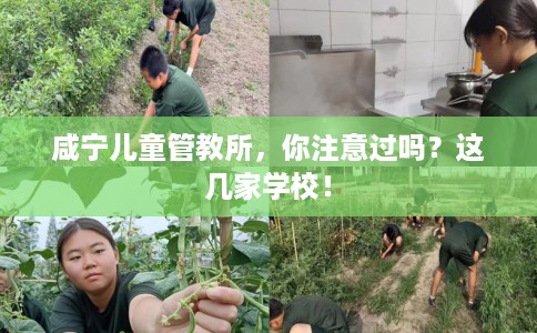 咸宁儿童管教所，你注意过吗？这几家学校！