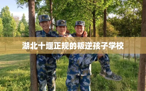 湖北十堰正规的叛逆孩子学校