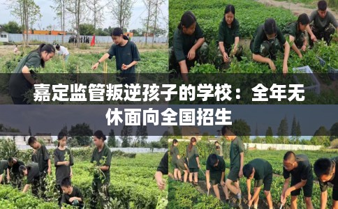 嘉定监管叛逆孩子的学校：全年无休面向全国招生