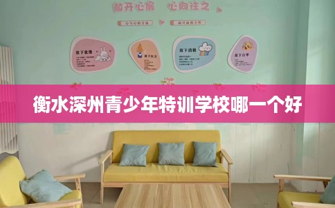 衡水深州青少年特训学校哪一个好