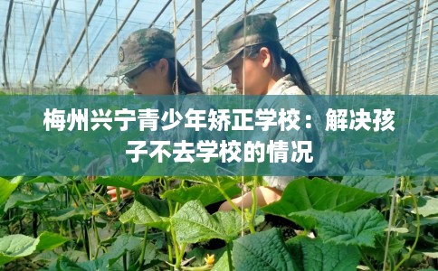 梅州兴宁青少年矫正学校：解决孩子不去学校的情况
