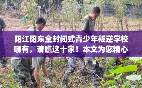 阳江阳东全封闭式青少年叛逆学校哪有，请瞧这十家！本文为您精心筛选！