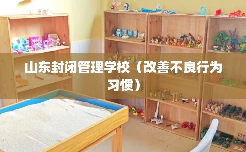 山东封闭管理学校（改善不良行为习惯）