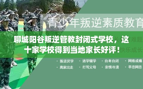聊城阳谷叛逆管教封闭式学校，这十家学校得到当地家长好评！