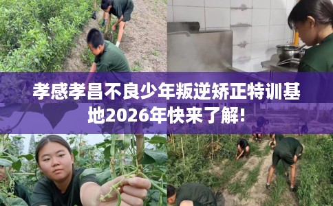 孝感孝昌不良少年叛逆矫正特训基地2026年快来了解!