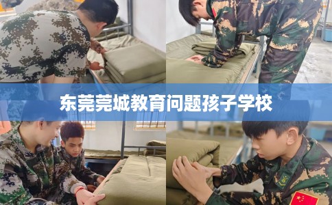 东莞莞城教育问题孩子学校