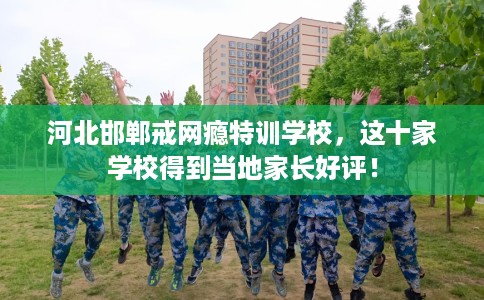河北邯郸戒网瘾特训学校，这十家学校得到当地家长好评！