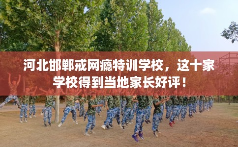 河北邯郸戒网瘾特训学校，这十家学校得到当地家长好评！