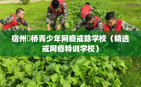 宿州埇桥青少年网瘾戒除学校（精选戒网瘾特训学校）