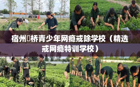 宿州埇桥青少年网瘾戒除学校（精选戒网瘾特训学校）