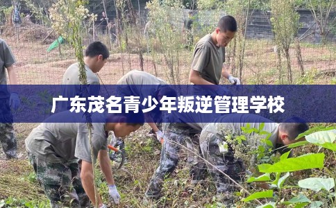 广东茂名青少年叛逆管理学校
