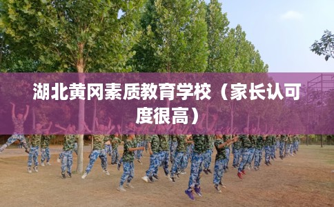 湖北黄冈素质教育学校（家长认可度很高）