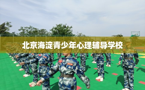 北京海淀青少年心理辅导学校
