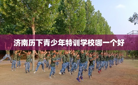 济南历下青少年特训学校哪一个好