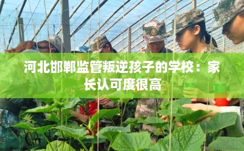 河北邯郸监管叛逆孩子的学校：家长认可度很高