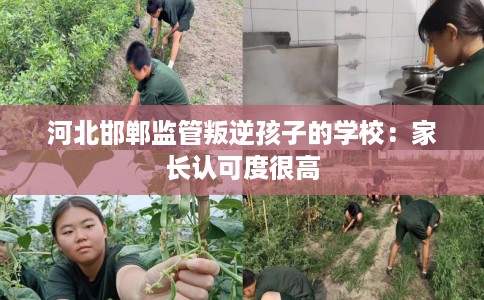 河北邯郸监管叛逆孩子的学校：家长认可度很高