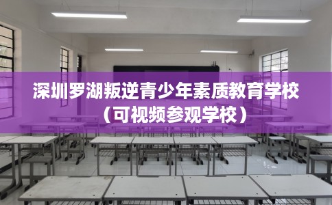 深圳罗湖叛逆青少年素质教育学校（可视频参观学校）