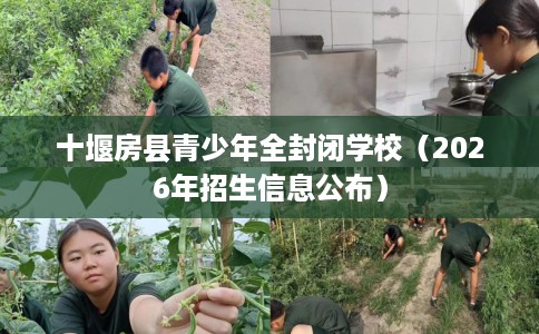 十堰房县青少年全封闭学校（2026年招生信息公布）