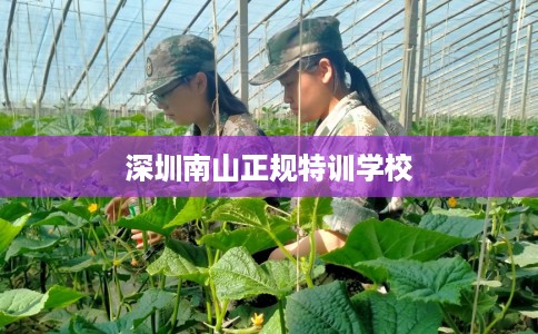 深圳南山正规特训学校