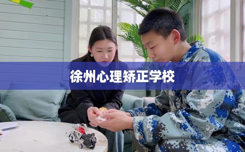 徐州心理矫正学校