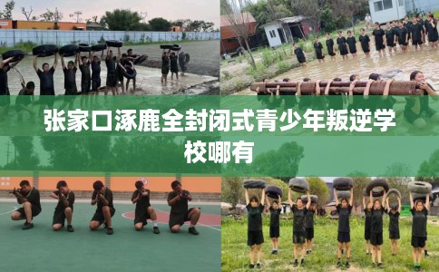 张家口涿鹿全封闭式青少年叛逆学校哪有