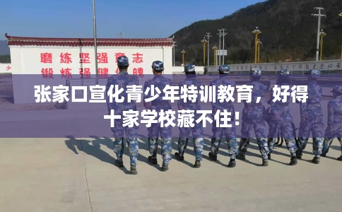 张家口宣化青少年特训教育，好得十家学校藏不住！