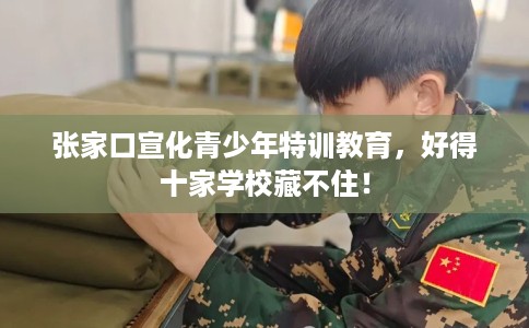 张家口宣化青少年特训教育，好得十家学校藏不住！