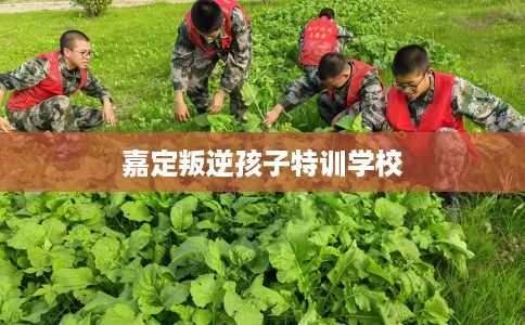 嘉定叛逆孩子特训学校