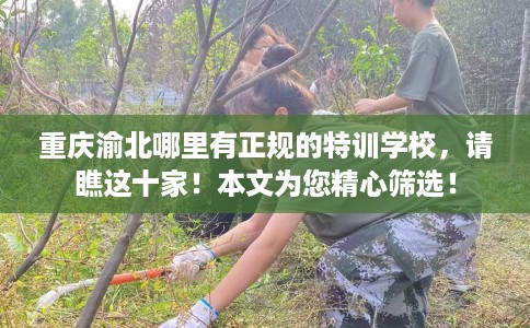 重庆渝北哪里有正规的特训学校，请瞧这十家！本文为您精心筛选！